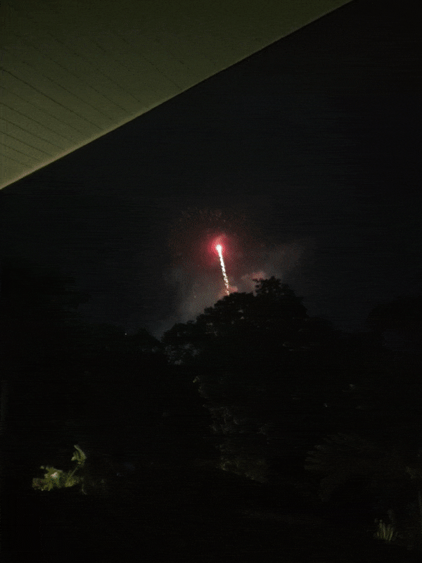 fireworks.gif
